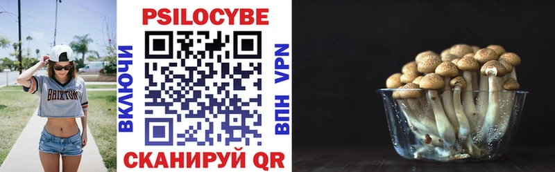 Псилоцибиновые грибы Psilocybe  Поворино 
